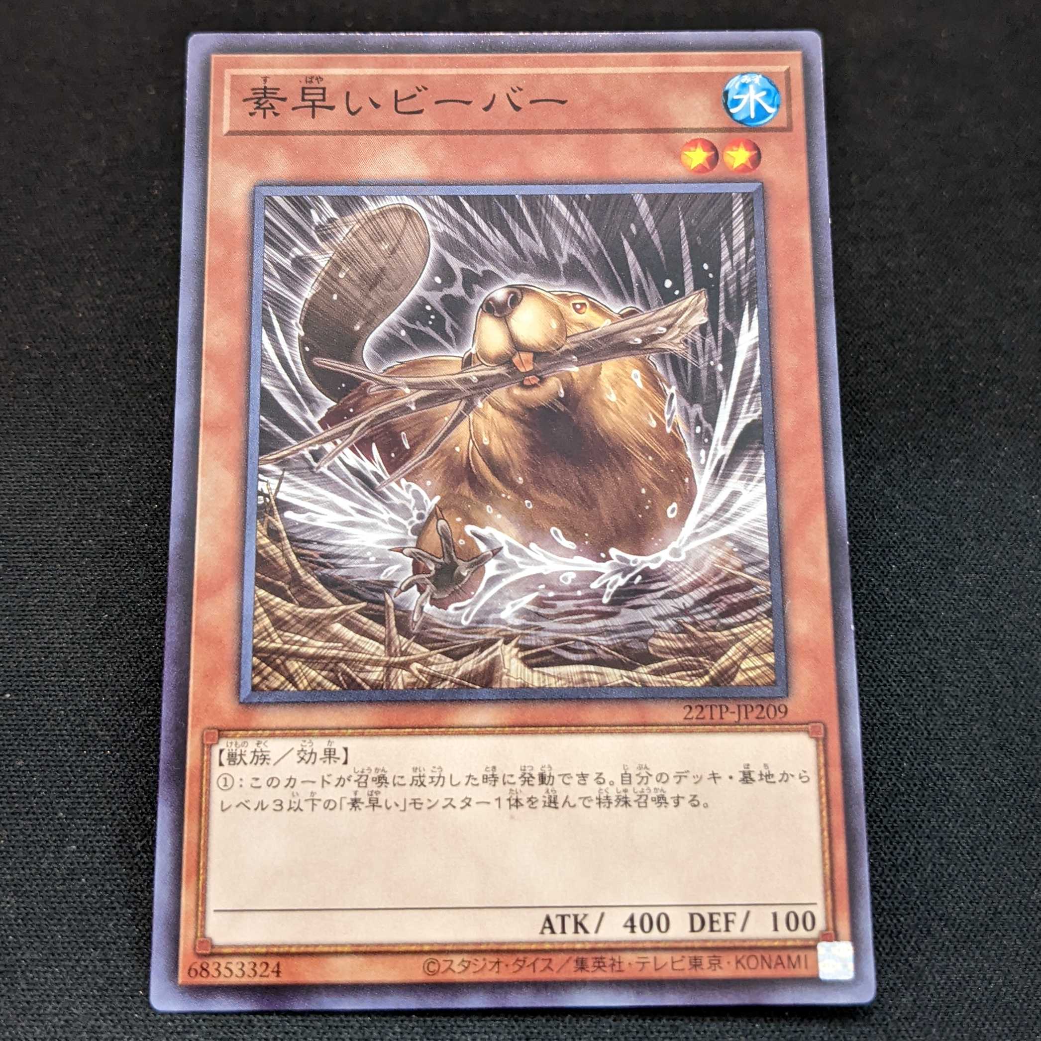 Nimble Beaver 3-piece set [22TP-JP209].