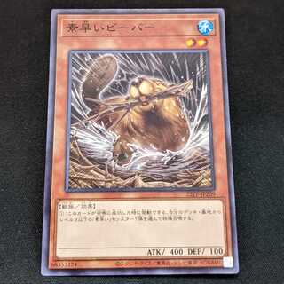 Nimble Beaver 3-piece set [22TP-JP209].