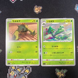 サボネア ノクタス セット