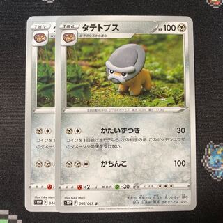 タテトプス 2枚