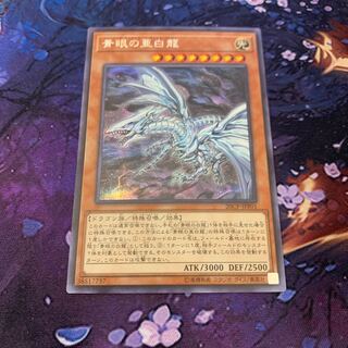 青眼の亜白龍(シク)微キズ