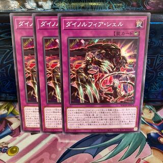 No.952 P shop Dinolfia Shell [no