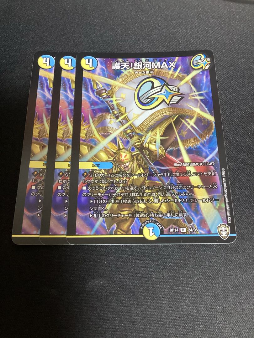 Proten! Ginga MAX R 24/95