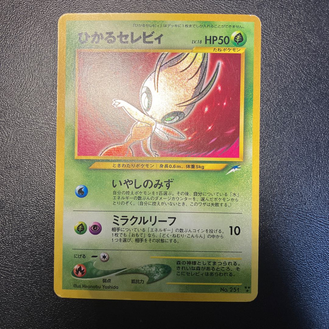 Hikaru Celebi Old Back ②