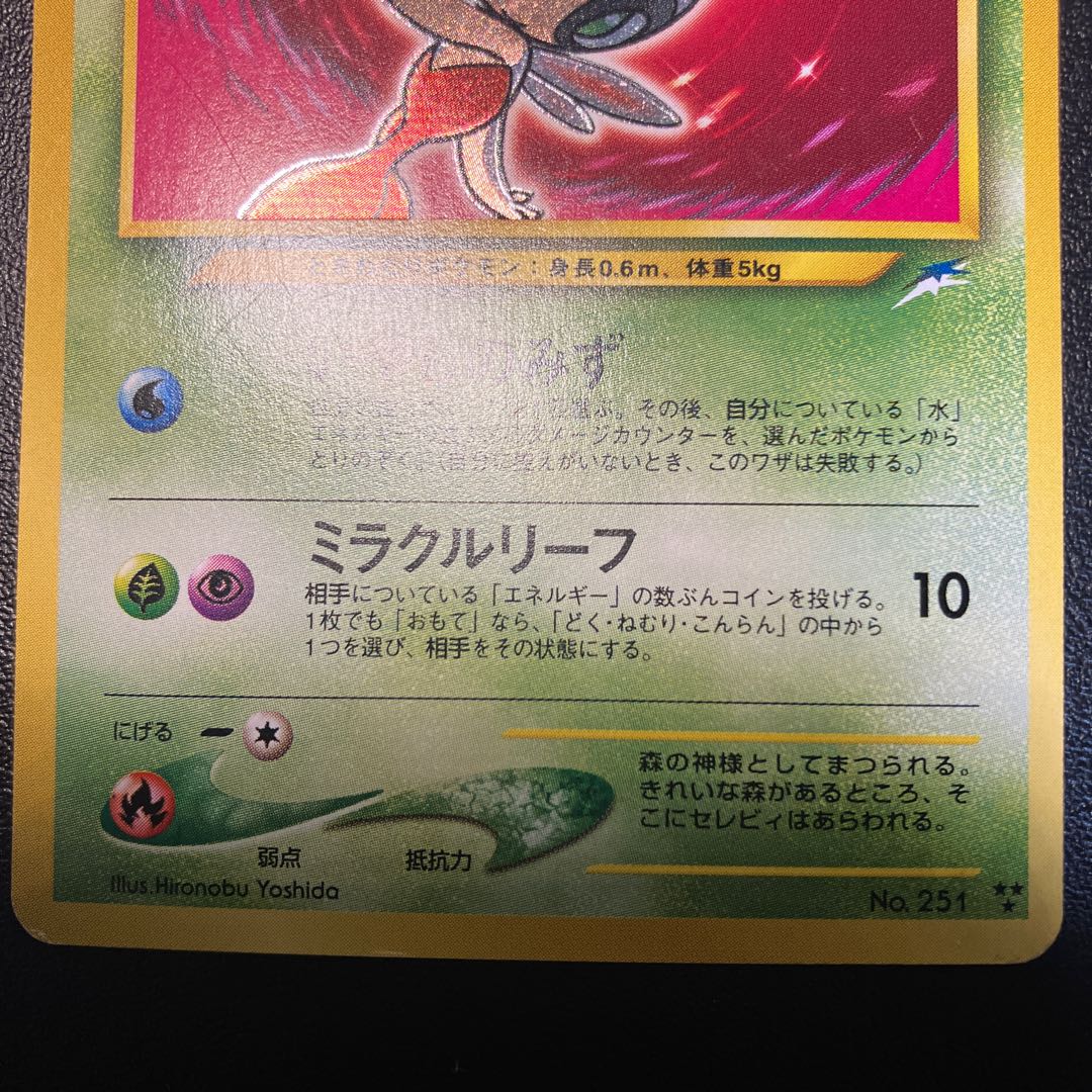Hikaru Celebi Old Back ②