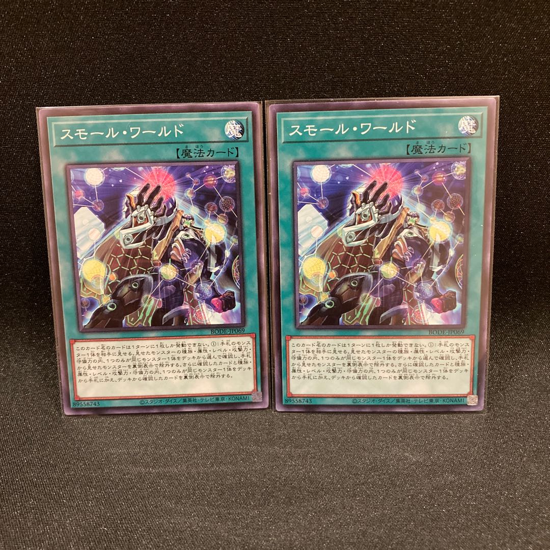 Small World Normal rare JP069