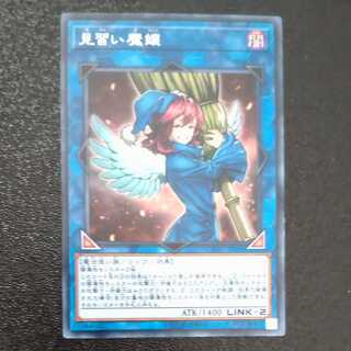 Wee Witch's Apprentice Rare