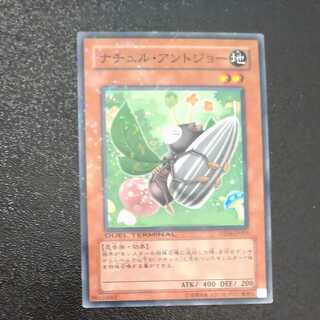 ナチュル・アントジョー ノーマル　【木林堂】 1枚