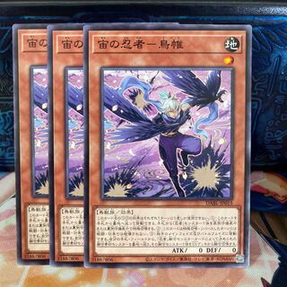 No.963 P屋　宙の忍者-鳥帷 【ノー】