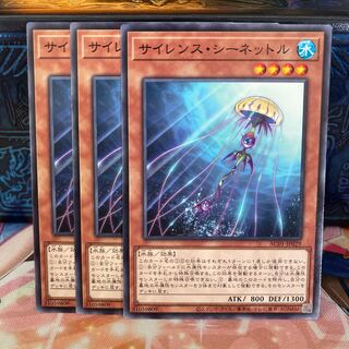 No.970 P屋 Silent Sea Nettle