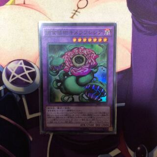 捕食植物キメラフレシア