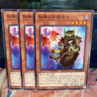 No.980 P屋　熟練の栗魔導士 【ノー】