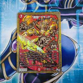 Punishment Rage" brand SE M2 (secret)1/M2