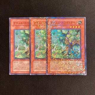 o188 Naturia White Oak Super Rare 3-card set Yu-Gi-Oh!
