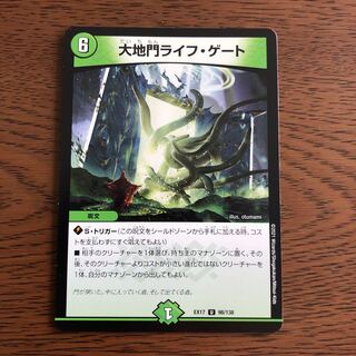 Large Gate Life Gate