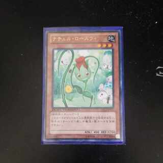 ナチュル・ローズウィップ レア JP011 1枚