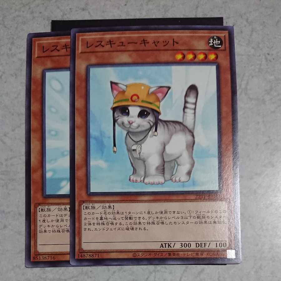 Rescue Cat Normal JP153