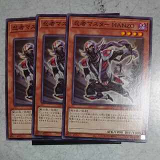 Ninja Grandmaster Hanzo Normal JP306