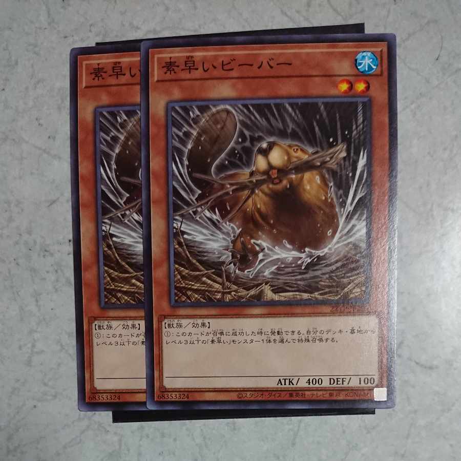 Nimble Beaver Normal Rare