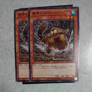 Nimble Beaver Normal Rare