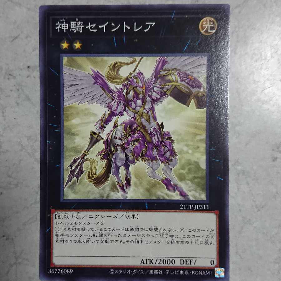 Sky Cavalry Centaurea