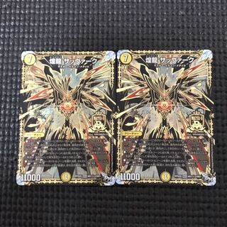 煌龍 サッヴァーク 2枚