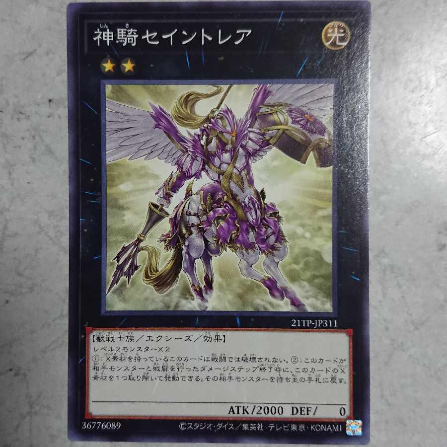 Sky Cavalry Centaurea