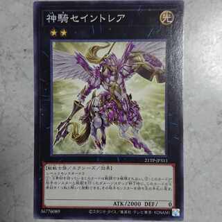 Sky Cavalry Centaurea