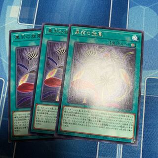 Black Feather Whirlwind