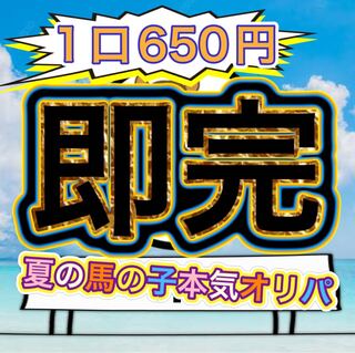 (即完御礼)夏の馬の子本気オリパ!(説明事項)
