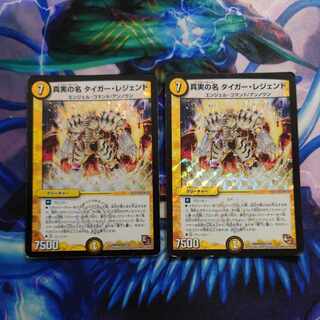 The True Name Tiger Legend VR 2/55