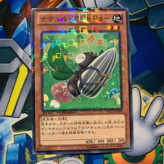 ナチュル・アントジョー