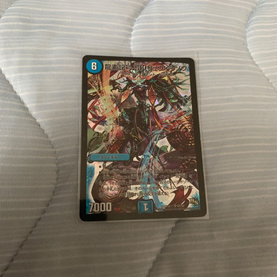 龍素記号Sbリュウイーソウ