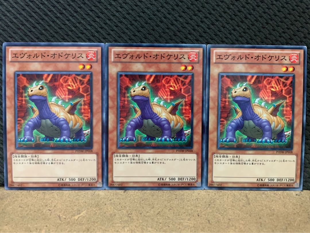 【ぽぽたん】遊戯王 8899 エヴォルド・オドケリス 3枚 ノーマル