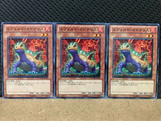 【ぽぽたん】遊戯王 8899 エヴォルド・オドケリス 3枚 ノーマル