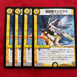 Pilgrim Webius C 13/13