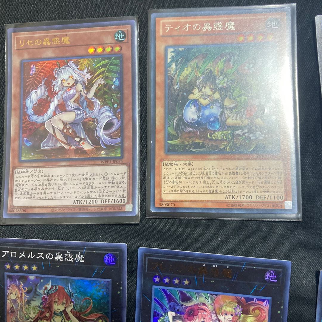 Traptrix Dionaea, etc.