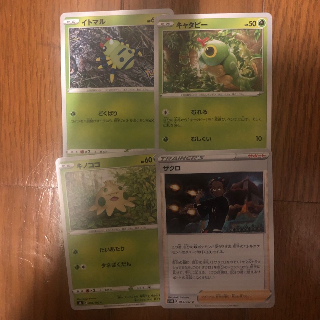 pocket monster (internationally popular cartoon series, originally a video game)