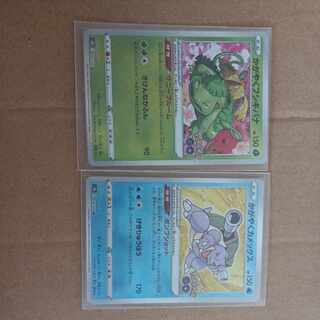 かがやくカメックス、フシギバナ