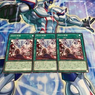 No.314 Yu-Gi-Oh! Branded Lives