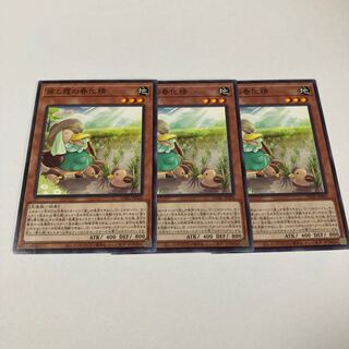 Seedlings and haze vernalization spirit Normal