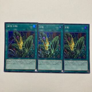 Predapractice Super Rare JP047