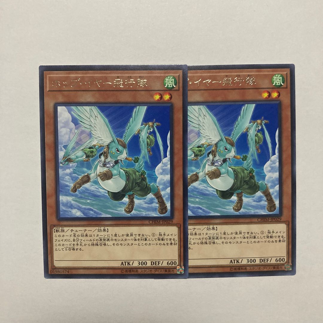 Hop Ear Squadron rare JP029