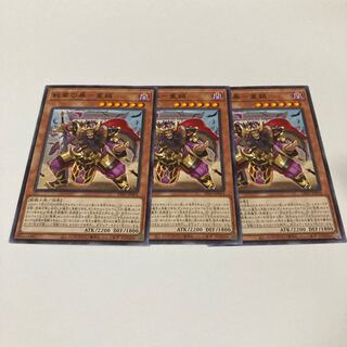 戦華の暴-董穎 ノーマル JP024