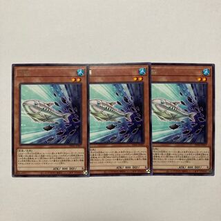 White sardine rare PHNI-JP007