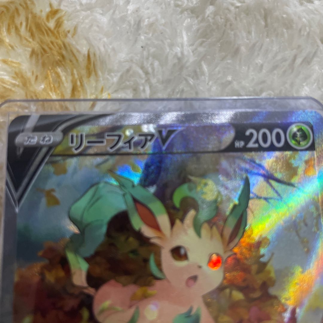 LeafeonV SA