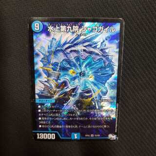 シャコガイル 1枚