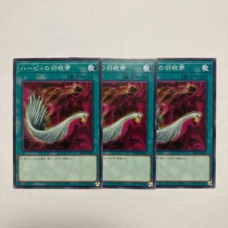 ハーピィの羽根帚 ノーマル