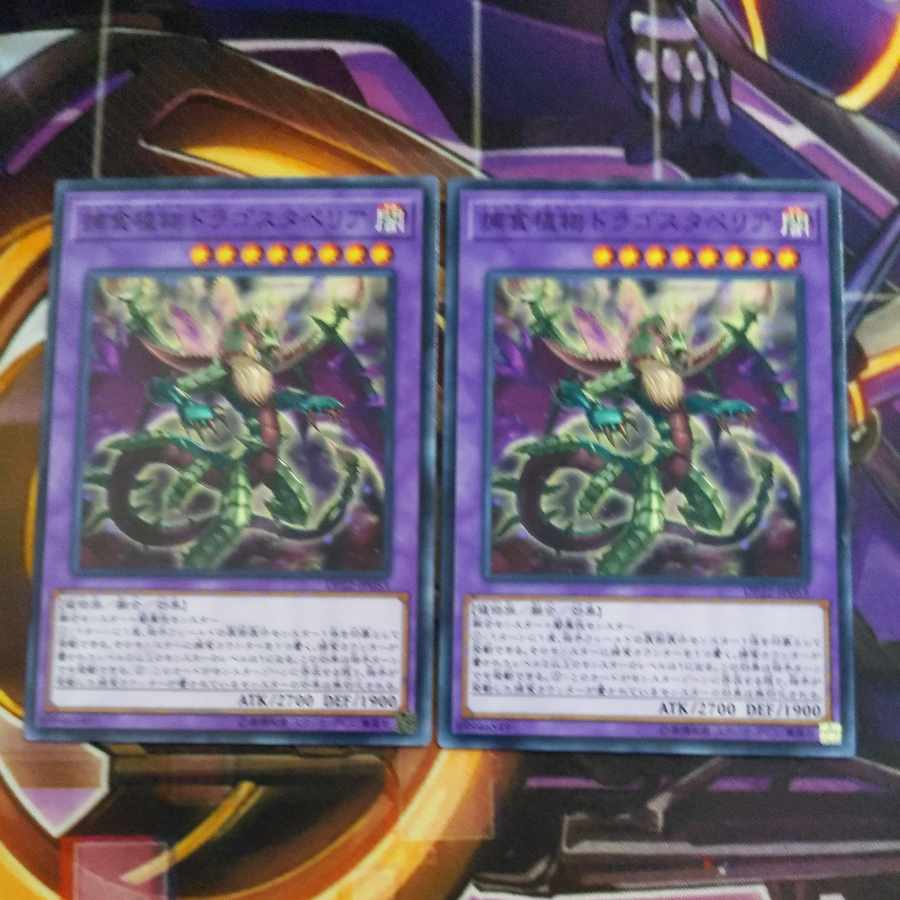 Predaplant Dragostapelia Normal 2 sheets