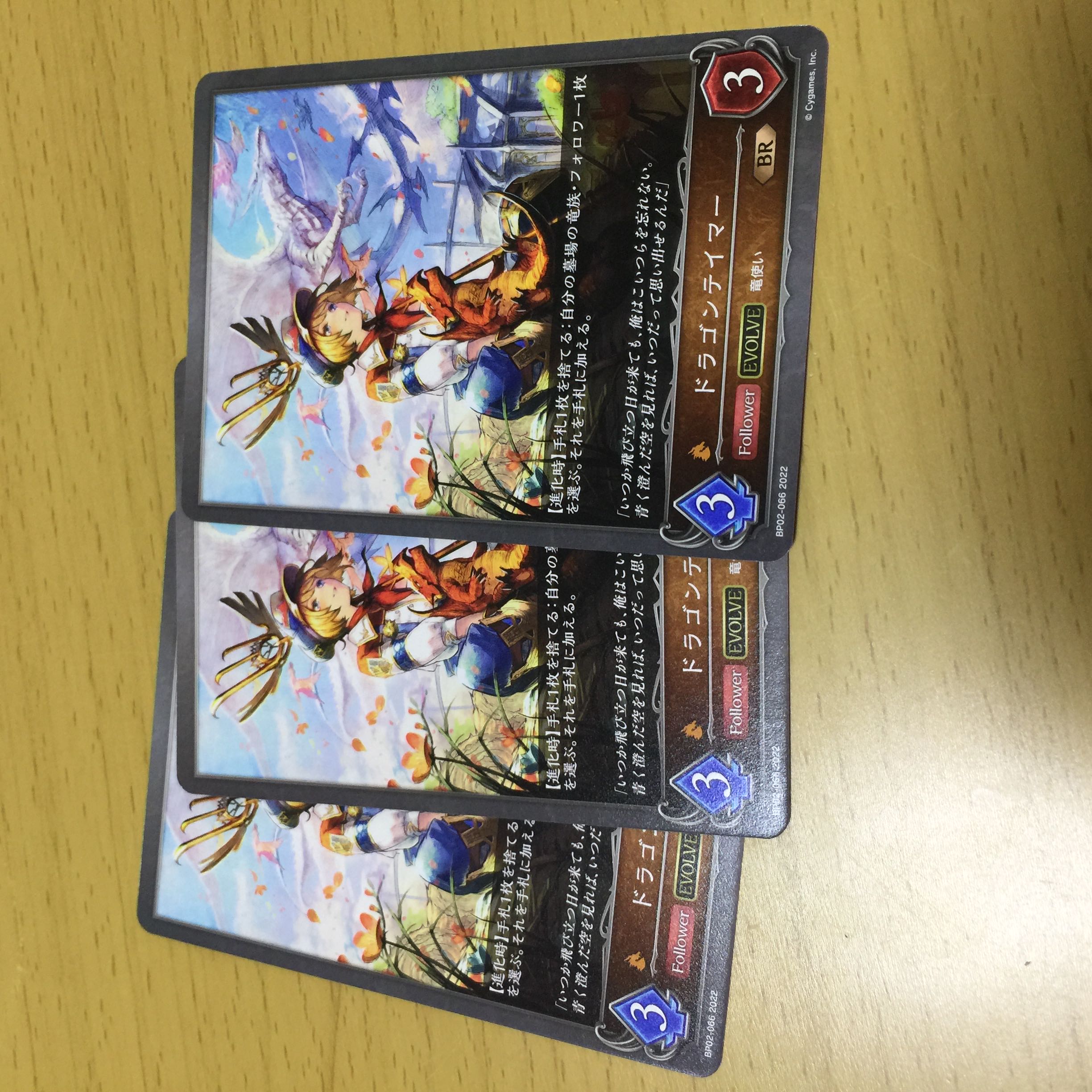 Dragon tamer, after evolution